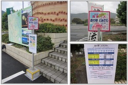 高速乗合バス・甲府-静岡線『道の駅:とみざわ』バス停の画像