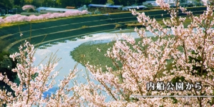 南部町　スマホ用トップ画像