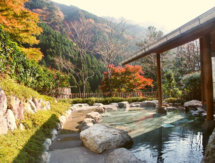 ふるさと納税）奥山温泉