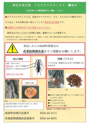 クビアカツヤカミキリに注意