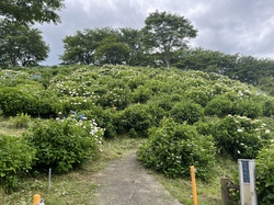 6月10日　うつぶな公園