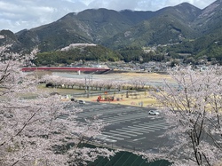 アルカディア20260326