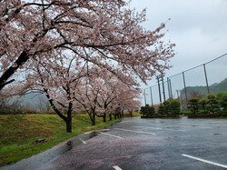 4月4日　アルカディア