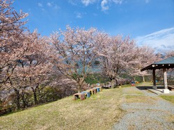 4月6日　うつぶな公園