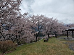 4月1日　うつぶな公園