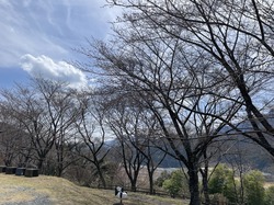 うつぶな公園20260319