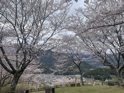 うつぶな公園20260326