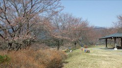 3月25日　うつぶな公園