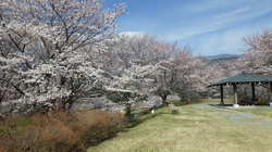 3月28日　うつぶな公園