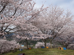 3月30日　うつぶな公園