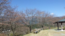 うつぶな公園　3月20日