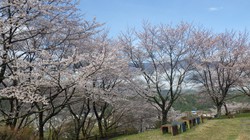 うつぶな公園　3月24日