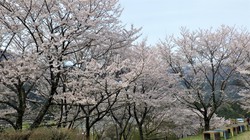 うつぶな公園　3月27日