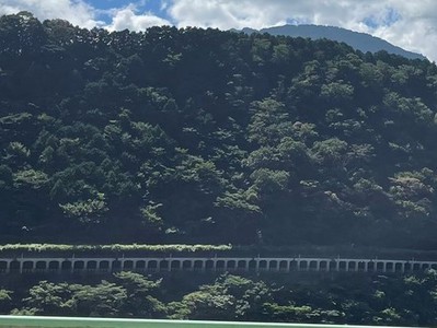 福士洞門(県道富士川身延線より）