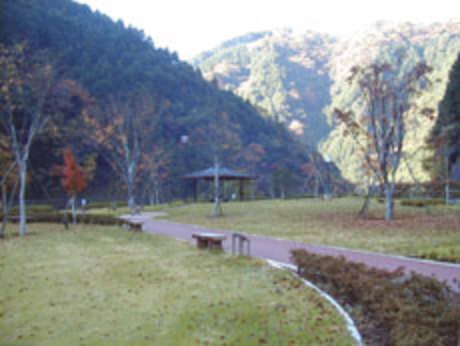 森のオアシス　全景