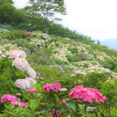 うつぶな公園