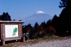白鳥山森林公園の様子
