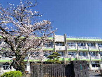 南部小学校の写真