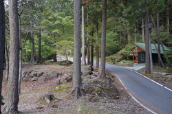 青少年旅行村(キャンプ場)の写真